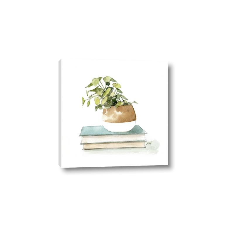 Picture of Pot On The Books I _GroupedProduct_Square_Canvas_