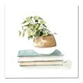Picture of Pot On The Books I _GroupedProduct_Square_Canvas_