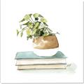 Picture of Pot On The Books I _GroupedProduct_Square_Canvas_