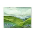 Picture of Eco Friendly V _GroupedProduct_Rectangle_Landscape_Canvas_