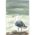 Picture of Sea Gull _GroupedProduct_Rectangle_Portrait_Canvas_