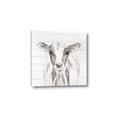 Picture of Frontal Cow Portrait _GroupedProduct_Square_Canvas_