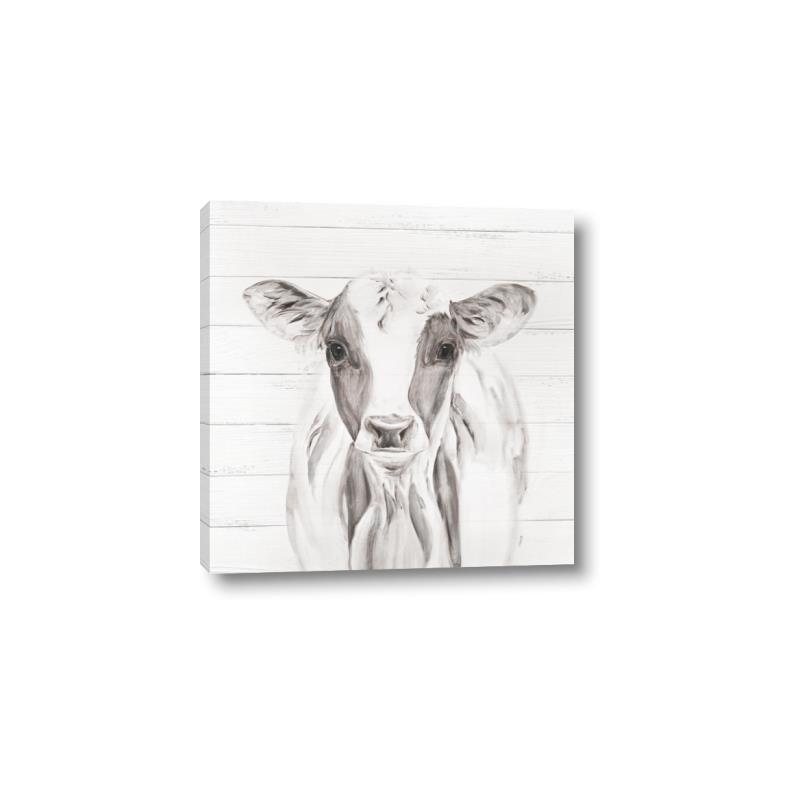 Picture of Frontal Cow Portrait _GroupedProduct_Square_Canvas_