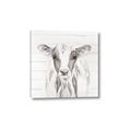 Picture of Frontal Cow Portrait _GroupedProduct_Square_Canvas_