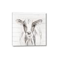 Picture of Frontal Cow Portrait _GroupedProduct_Square_Canvas_