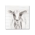 Picture of Frontal Cow Portrait _GroupedProduct_Square_Canvas_
