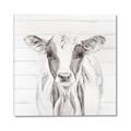 Picture of Frontal Cow Portrait _GroupedProduct_Square_Canvas_