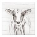 Picture of Frontal Cow Portrait _GroupedProduct_Square_Canvas_
