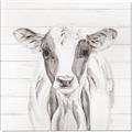 Picture of Frontal Cow Portrait _GroupedProduct_Square_Canvas_