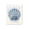 Picture of Blue Seashell _GroupedProduct_Rectangle_Portrait_Canvas_