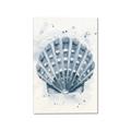 Picture of Blue Seashell _GroupedProduct_Rectangle_Portrait_Canvas_