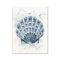 Picture of Blue Seashell _GroupedProduct_Rectangle_Portrait_Canvas_
