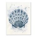 Picture of Blue Seashell _GroupedProduct_Rectangle_Portrait_Canvas_