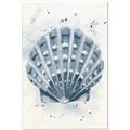 Picture of Blue Seashell _GroupedProduct_Rectangle_Portrait_Canvas_