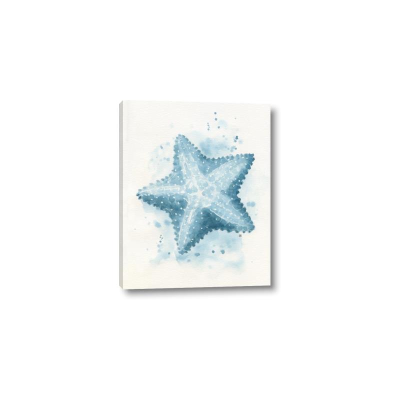 Picture of Teal Starfish _GroupedProduct_Rectangle_Portrait_Canvas_