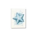 Picture of Teal Starfish _GroupedProduct_Rectangle_Portrait_Canvas_