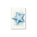 Picture of Teal Starfish _GroupedProduct_Rectangle_Portrait_Canvas_