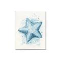 Picture of Teal Starfish _GroupedProduct_Rectangle_Portrait_Canvas_