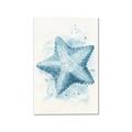 Picture of Teal Starfish _GroupedProduct_Rectangle_Portrait_Canvas_