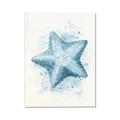 Picture of Teal Starfish _GroupedProduct_Rectangle_Portrait_Canvas_