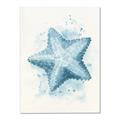 Picture of Teal Starfish _GroupedProduct_Rectangle_Portrait_Canvas_