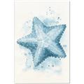 Picture of Teal Starfish _GroupedProduct_Rectangle_Portrait_Canvas_