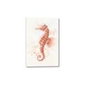 Picture of Coral Seahorse _GroupedProduct_Rectangle_Portrait_Canvas_