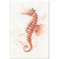 Picture of Coral Seahorse _GroupedProduct_Rectangle_Portrait_Canvas_