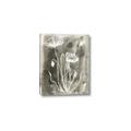 Picture of Brown & White Flower II _GroupedProduct_Rectangle_Portrait_Canvas_