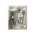 Picture of Brown & White Flower II _GroupedProduct_Rectangle_Portrait_Canvas_
