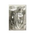 Picture of Brown & White Flower II _GroupedProduct_Rectangle_Portrait_Canvas_