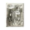 Picture of Brown & White Flower II _GroupedProduct_Rectangle_Portrait_Canvas_