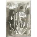 Picture of Brown & White Flower II _GroupedProduct_Rectangle_Portrait_Canvas_