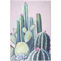 Picture of Pink Cactus _GroupedProduct_Rectangle_Portrait_Canvas_