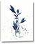 Picture of Blue Leaves III