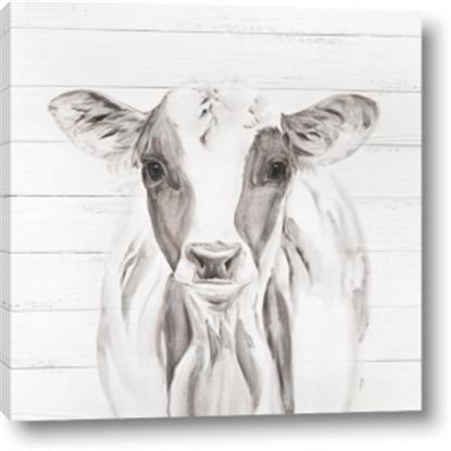 Picture of Frontal Cow Portrait