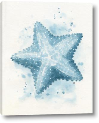 Picture of Teal Starfish