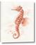 Picture of Coral Seahorse