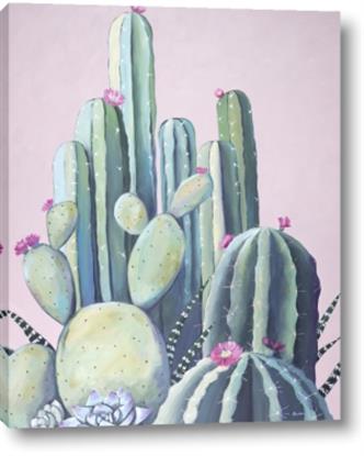 Picture of Pink Cactus