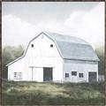 Picture of Barn Field I _GroupedProduct_Square_Canvas_Framed_
