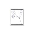 Picture of Flowering Tree Twigs II _GroupedProduct_Rectangle_Portrait_Canvas_Framed_