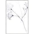 Picture of Flowering Tree Twigs II _GroupedProduct_Rectangle_Portrait_Canvas_Framed_
