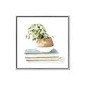 Picture of Pot On The Books I _GroupedProduct_Square_Canvas_Framed_