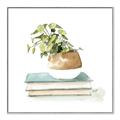 Picture of Pot On The Books I _GroupedProduct_Square_Canvas_Framed_