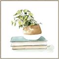 Picture of Pot On The Books I _GroupedProduct_Square_Canvas_Framed_