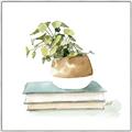 Picture of Pot On The Books I _GroupedProduct_Square_Canvas_Framed_