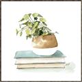 Picture of Pot On The Books I _GroupedProduct_Square_Canvas_Framed_