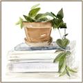 Picture of Flower Pot On Books _GroupedProduct_Square_Canvas_Framed_