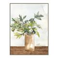 Picture of Potted Greens II _GroupedProduct_Rectangle_Portrait_Canvas_Framed_