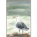 Picture of Sea Gull _GroupedProduct_Rectangle_Portrait_Canvas_Framed_